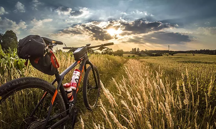 Mountainbike-Tour bei Sonnenuntergang. Mountainbike-Tour bei Sonnenuntergang, Mountainbike in einem Getreidefeld bei Abendlicht.