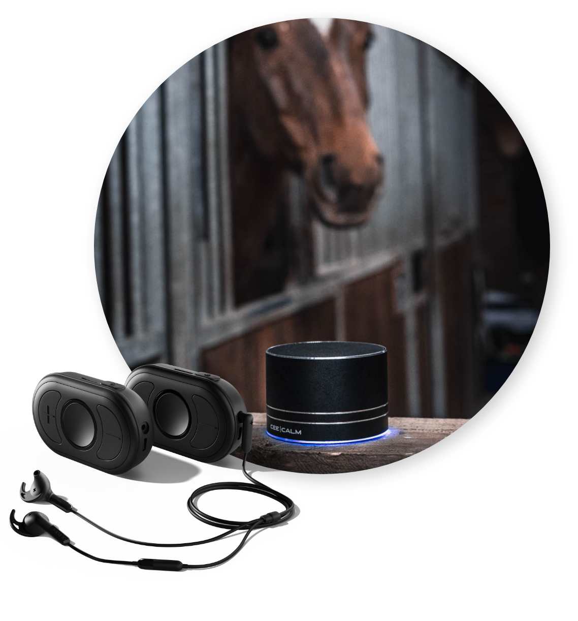 Beruhigungsgerät_Pferde_CEECOACH PLUS Duo mit Headset_Stall CEECALM_Gerät zur Beruhigung von Pferden mit CEECOACH PLUS und Headset im Vordergrund. Im Hintergrund steht ein Pferd im Stall