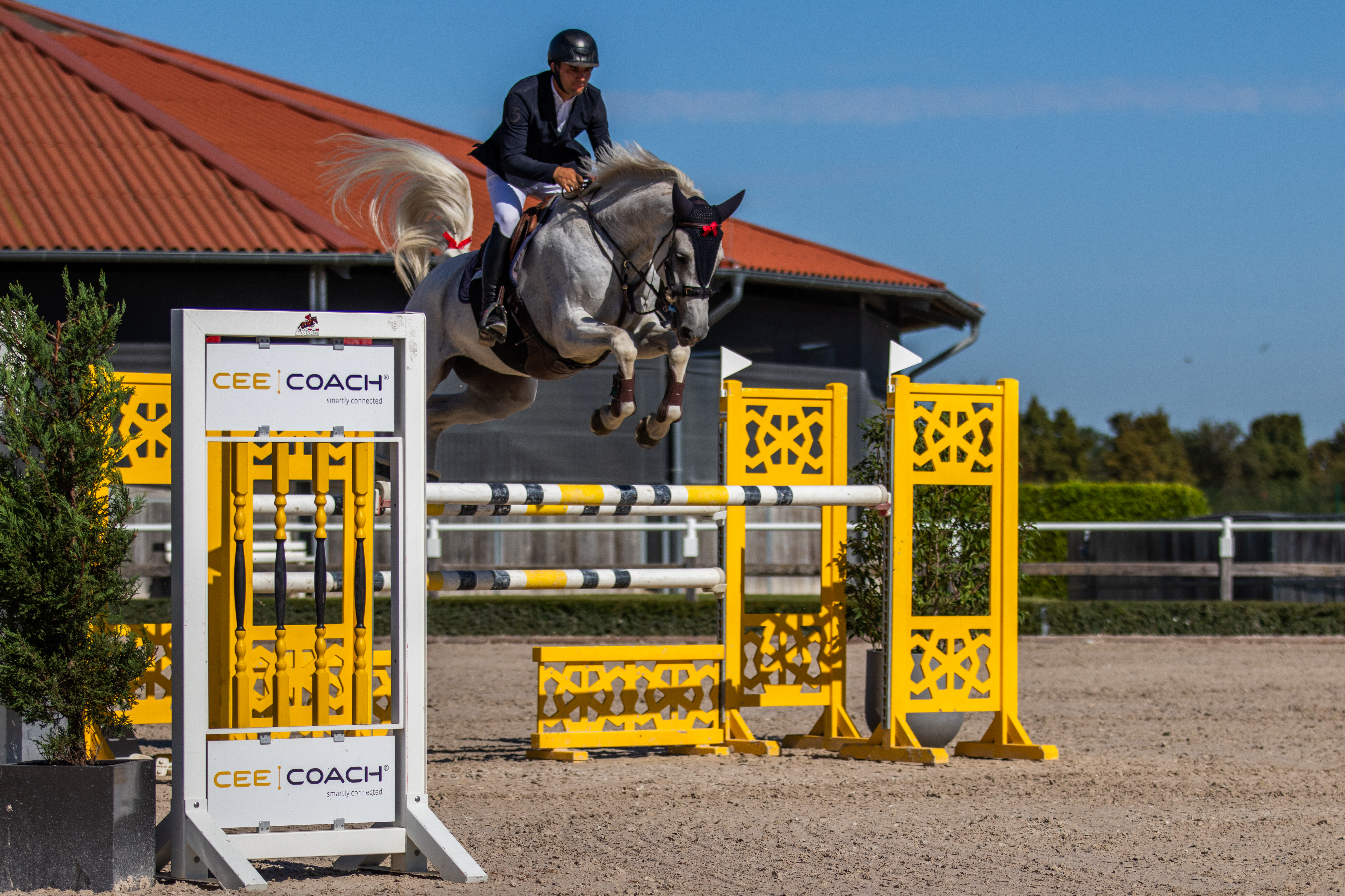 Springreiter auf einem grauen Pferd beim Überwinden eines gelb-weißen Hindernisses auf einem Reitplatz; im Vordergrund steht ein Schild mit der Aufschrift CEECOACH.